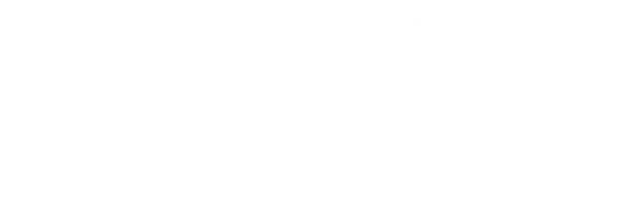 Upstate of the University of South Carolina
